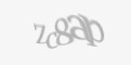 Защитный код