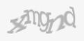Защитный код